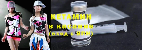 сатива Абаза