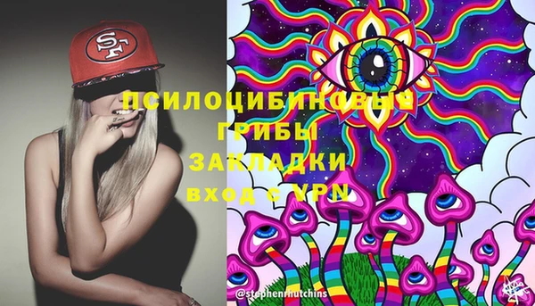 прущие крисы Алзамай